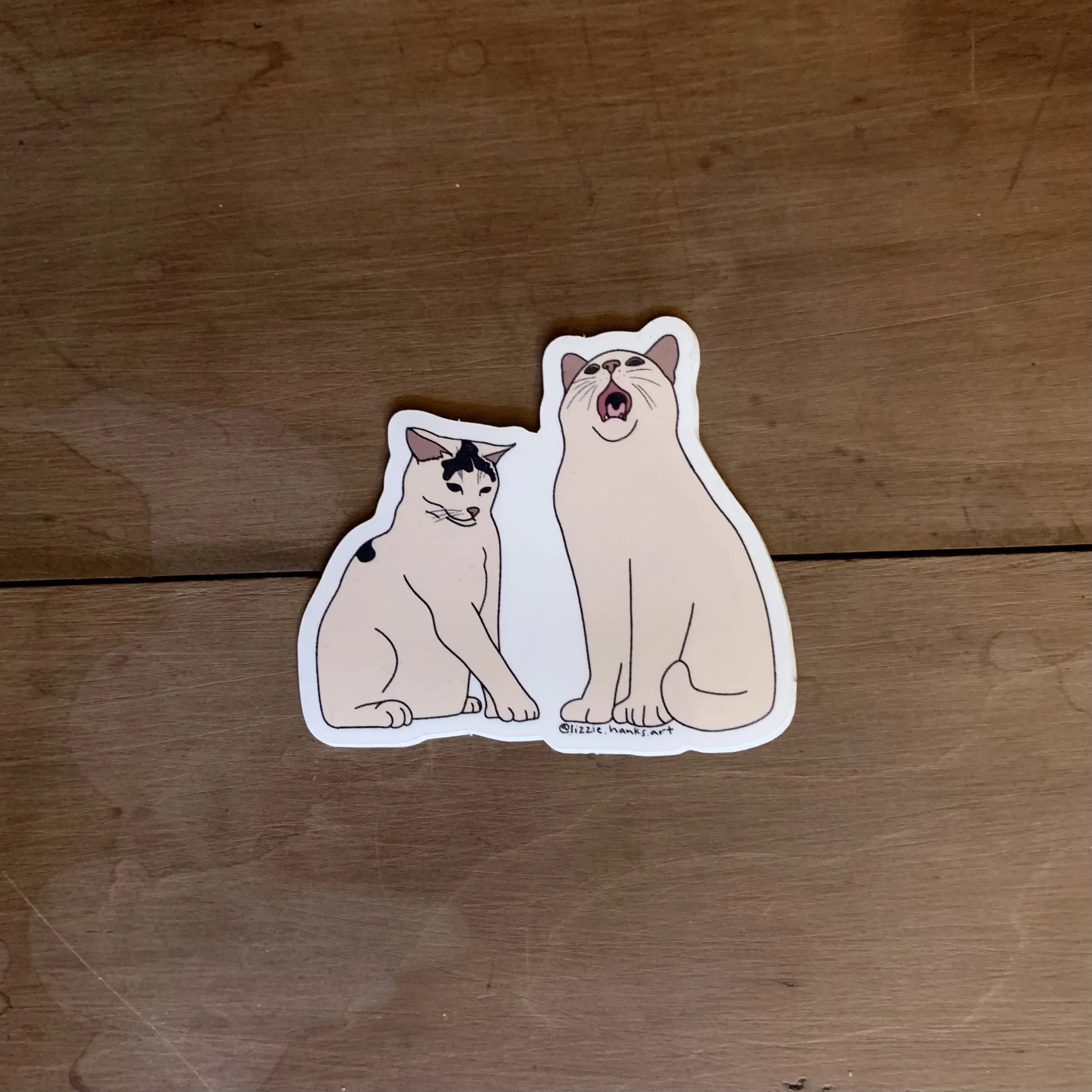 Derpy Pets Sticker: Kiwi and Alice