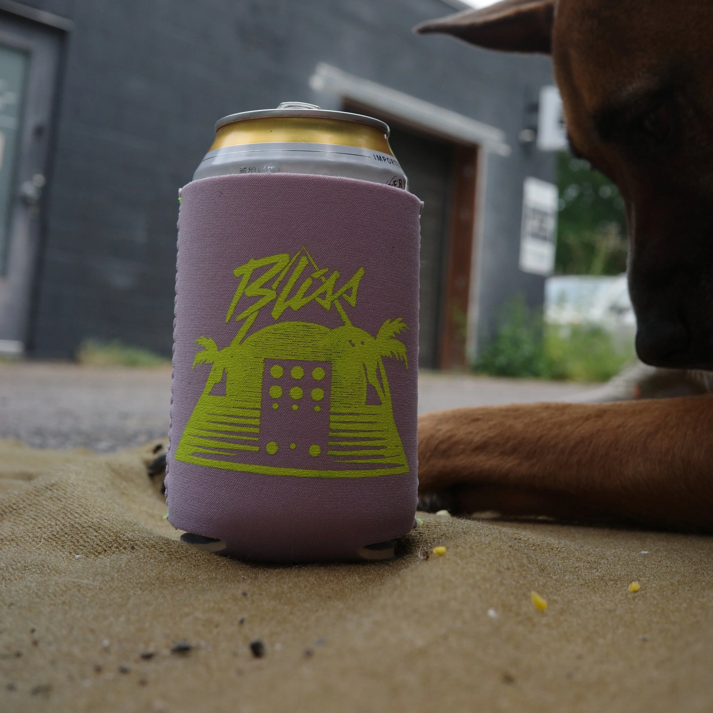 Koozie_Summer_Chase+Bliss.png