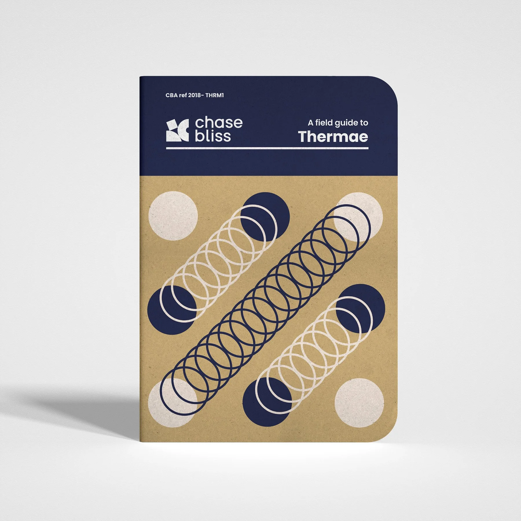Chase Bliss_Thermae_Manual_Cover.jpg