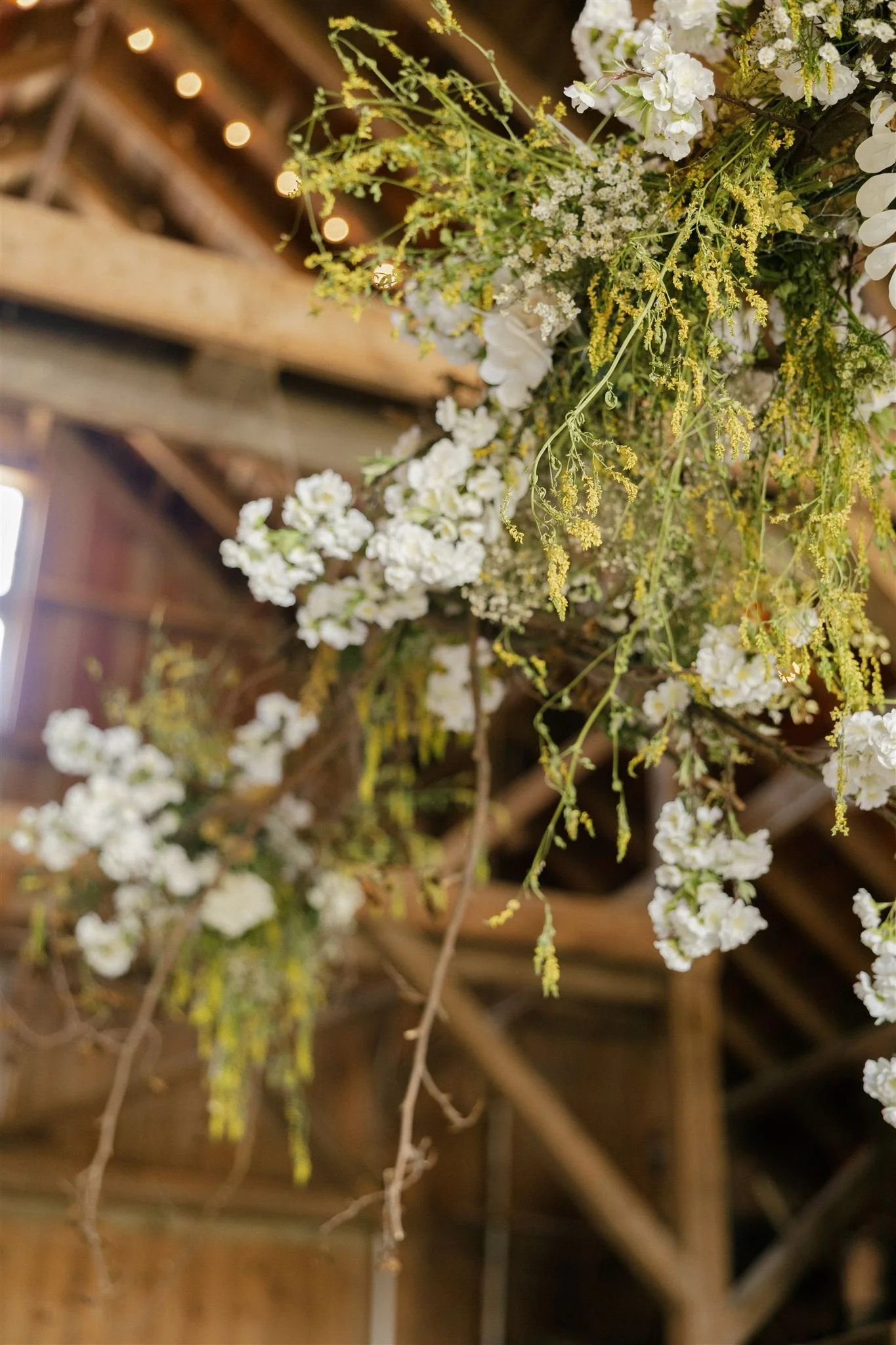 ALEXAKARENPHOTO-614_websize.jpg