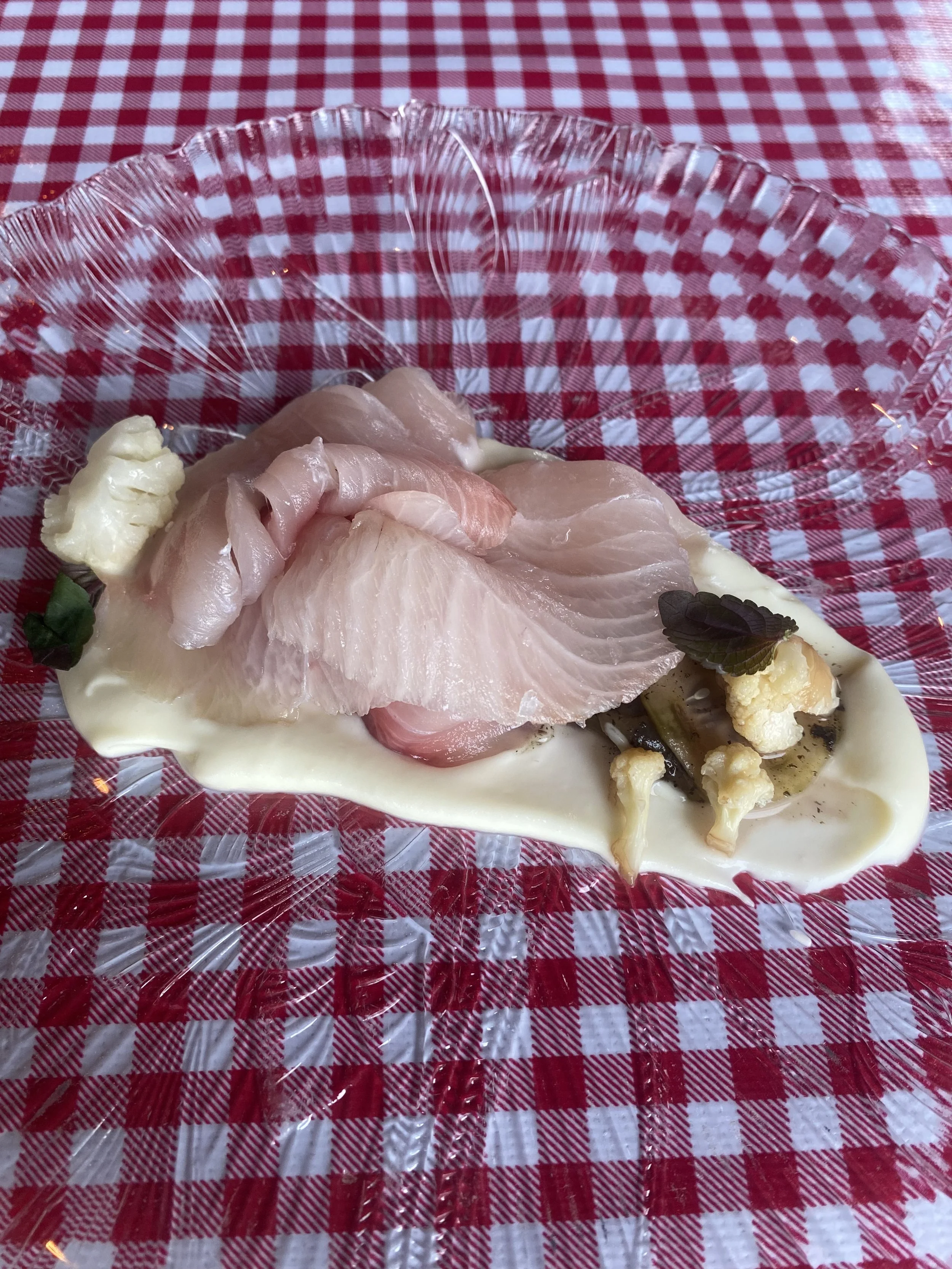 White fish, cauliflower puree, herbs, clear glass plate, red and white checkered tablecloth.