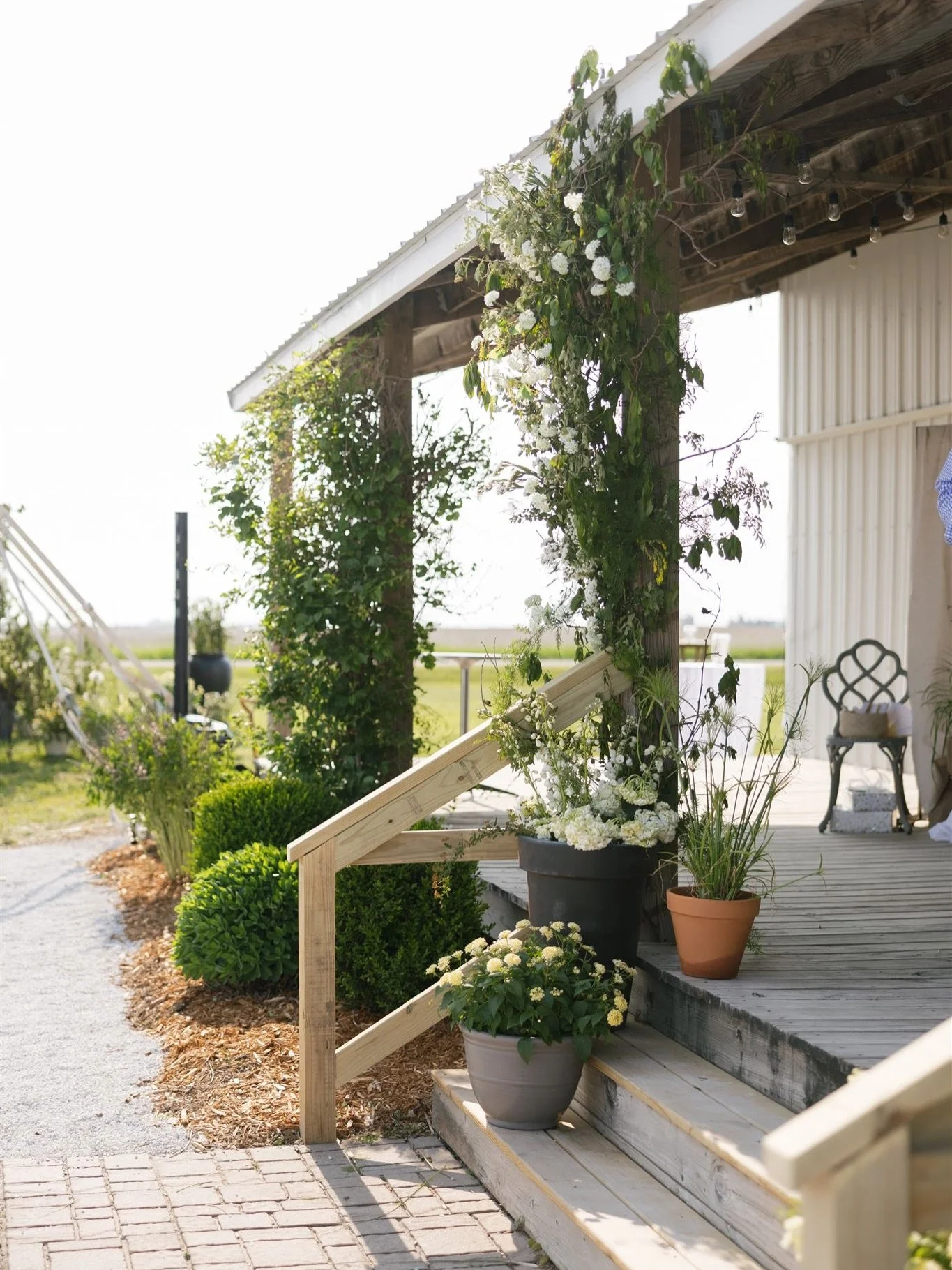 Did you hear? Our summer dinner dates are here! Tickets for all dinners go on sale this Sunday at 5pm.

If you&rsquo;ve never joined us before, this is the perfect opportunity to experience the farm. We also have lots of exciting updates to share abo