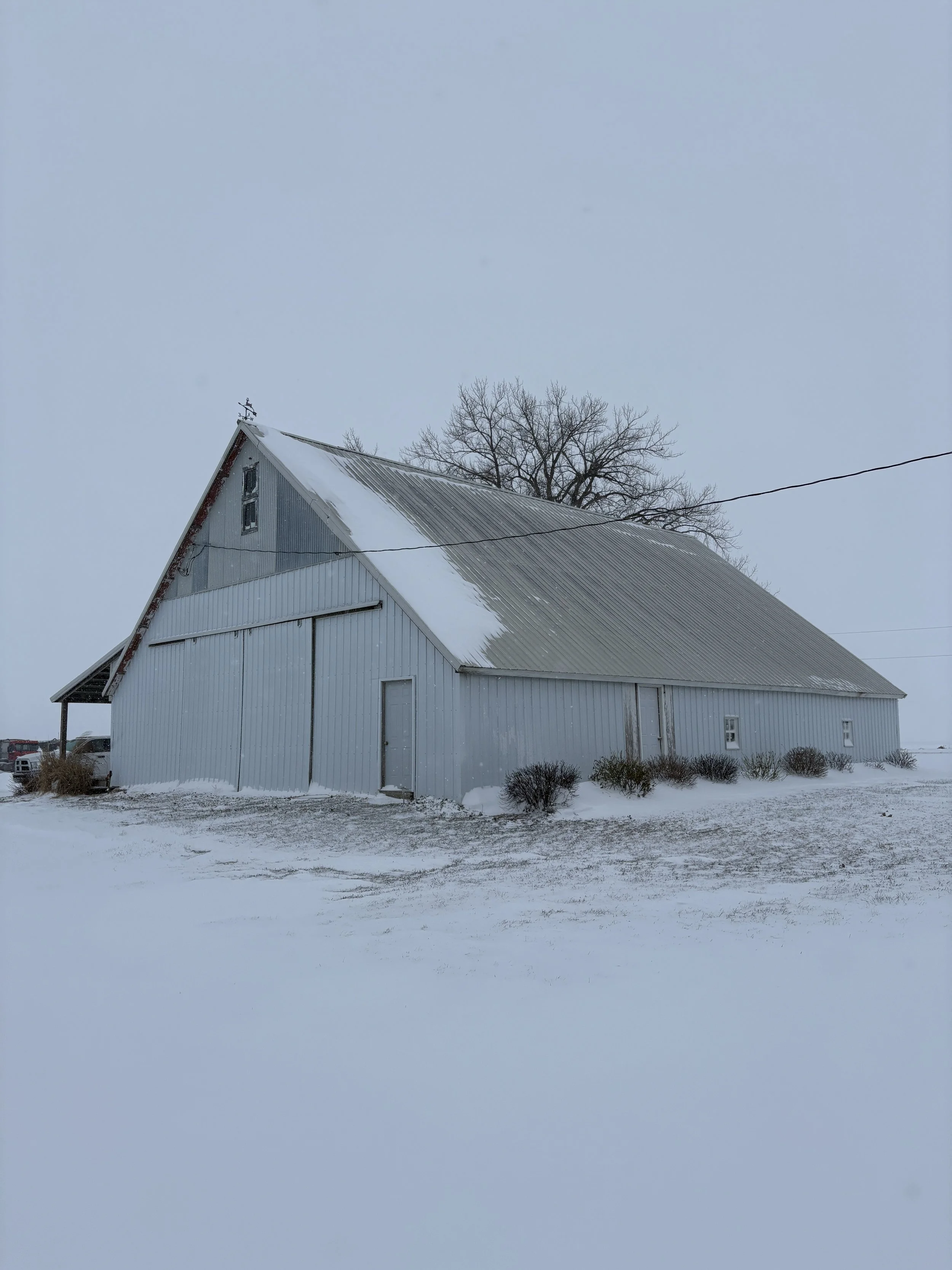 A rural landscape with a white barn, a large tree, a grassy field, and a dirt road during sunset with clouds in the sky.