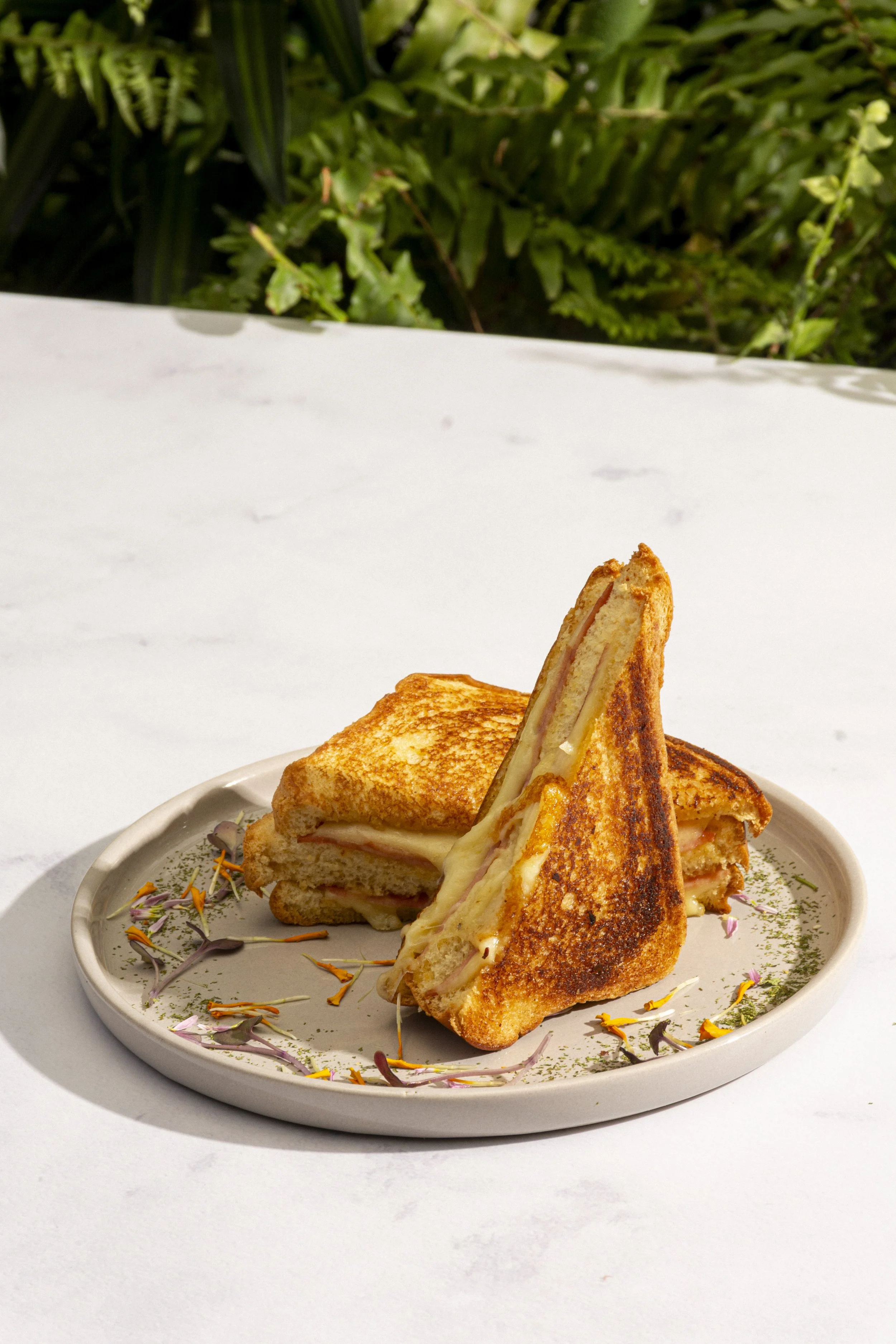 Sanduche de Jamon y queso con pan brioche