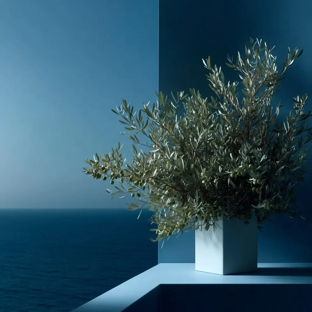 Offre essentielle pour poser les bases d’une marque claire et structurée