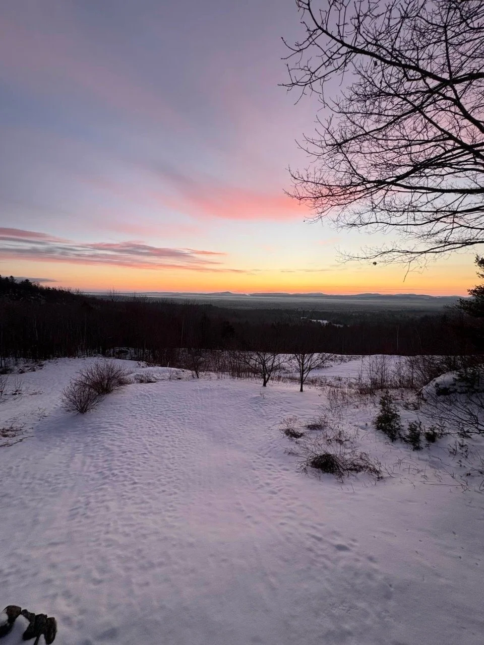 Snow-covered landscape with leafless trees and a sunset sky with pink, purple, and orange hues.