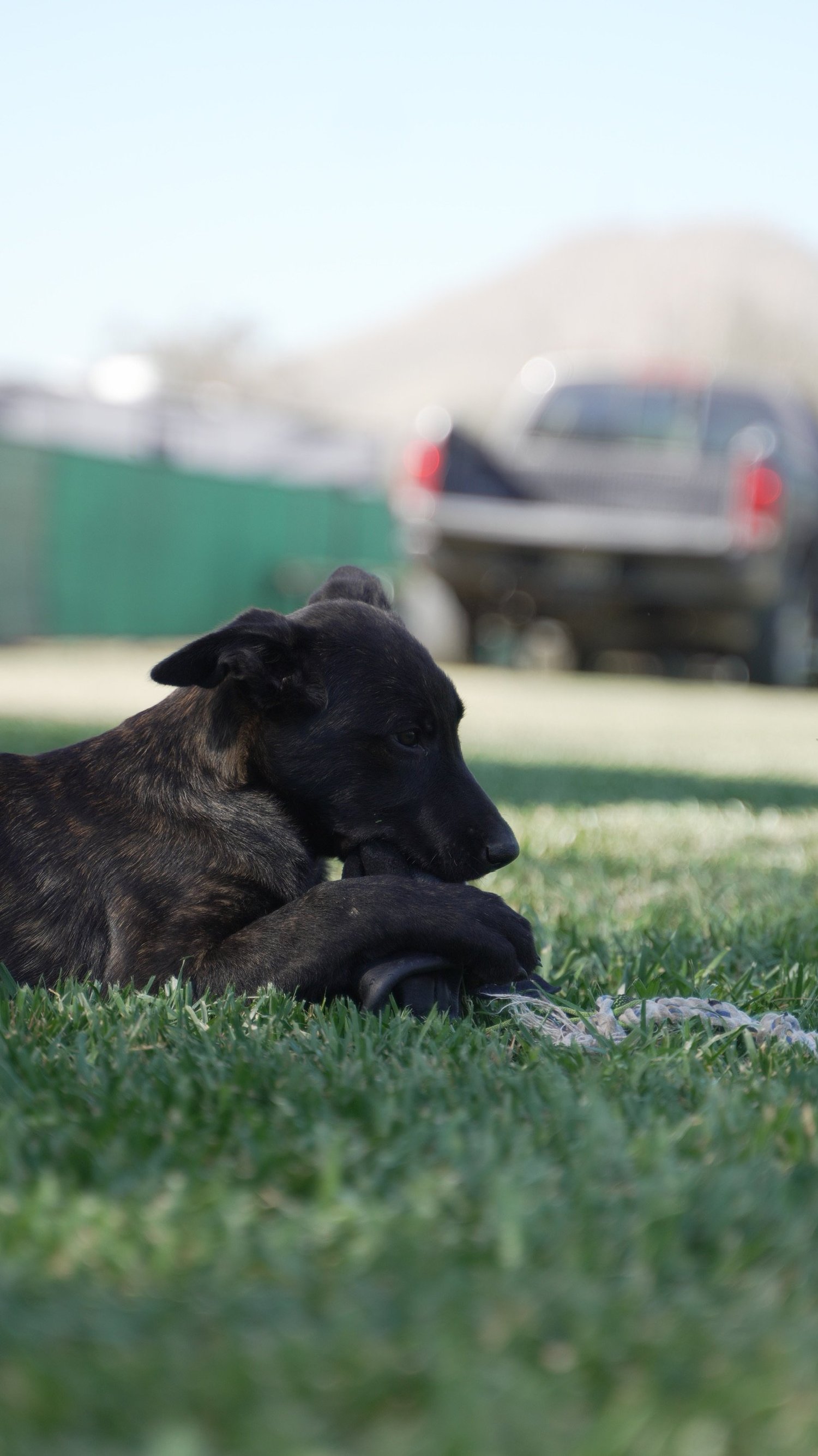 Helping Officers Protect &amp; Enforce