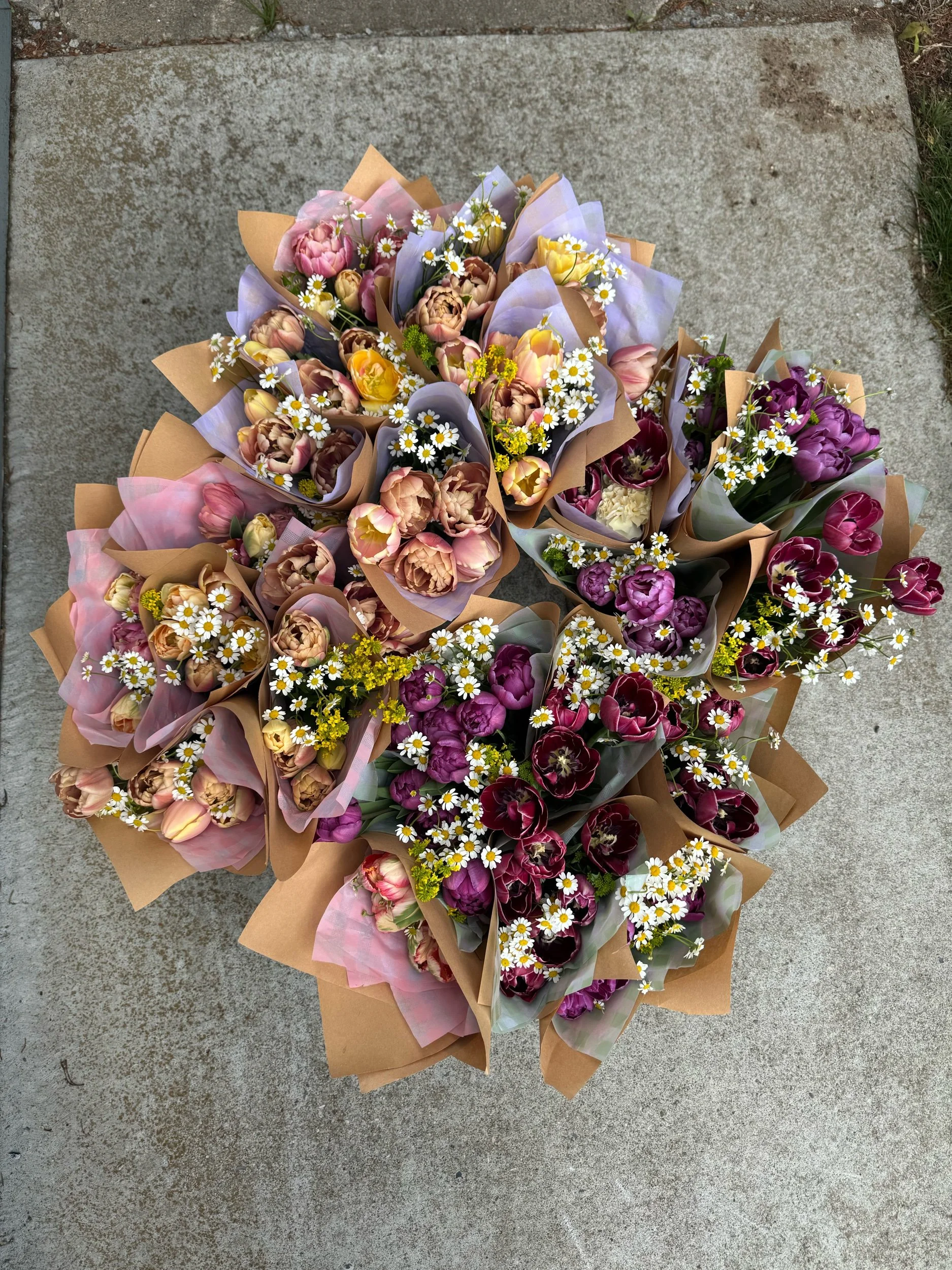 4-Week Tulip CSA Flower Club | 2027 Season