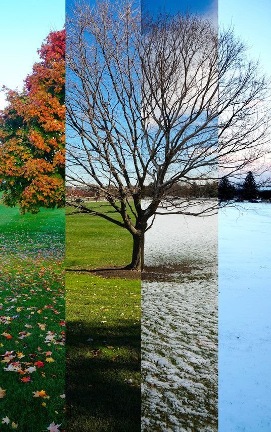 Top Spa Products to Keep Your Skin and Hair Glowing Year-Round