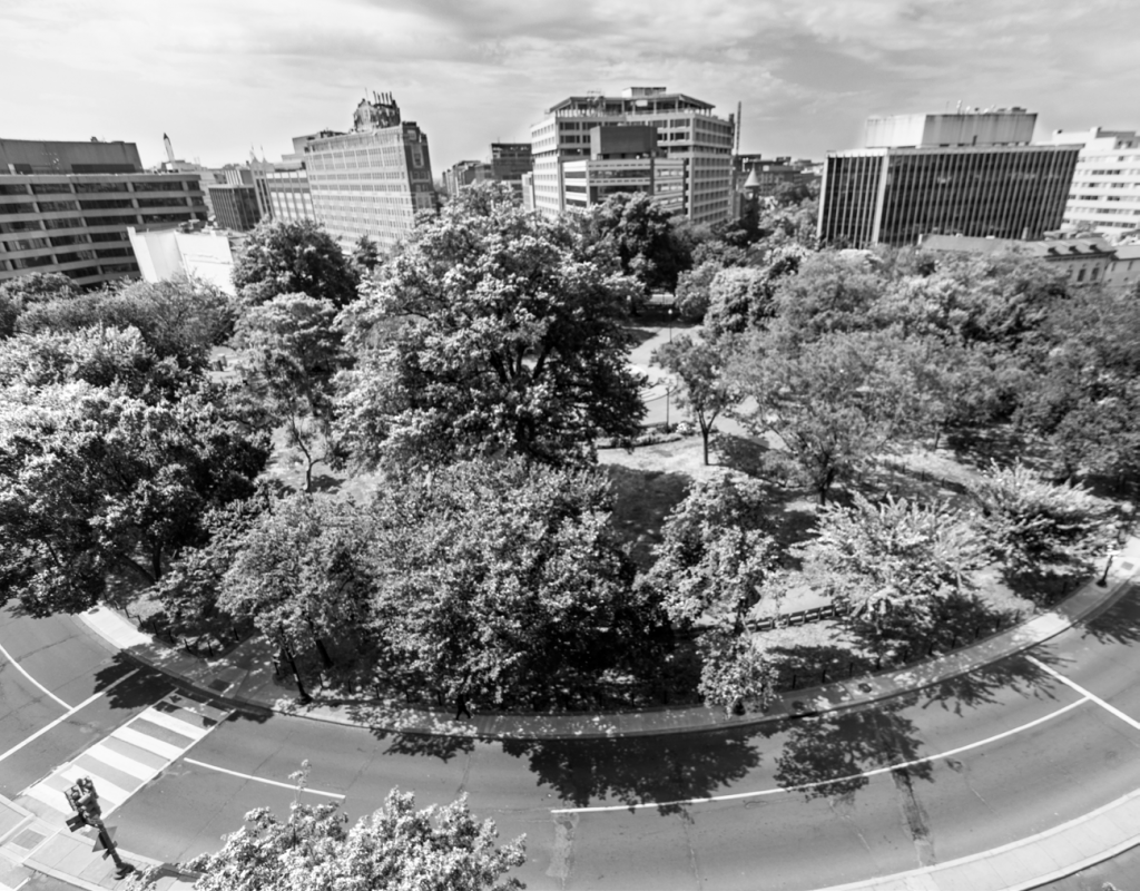 Black and white aerial photo of a city park with numerous trees surrounded by tall office buildings.