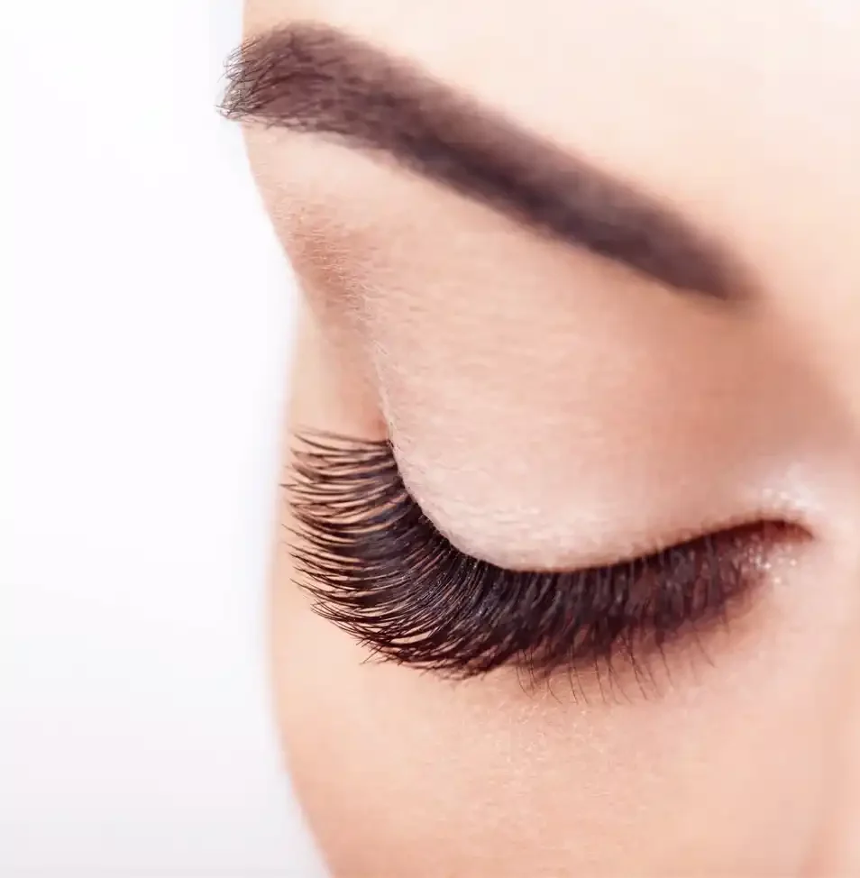 Eyelashes & Eyebrows Services