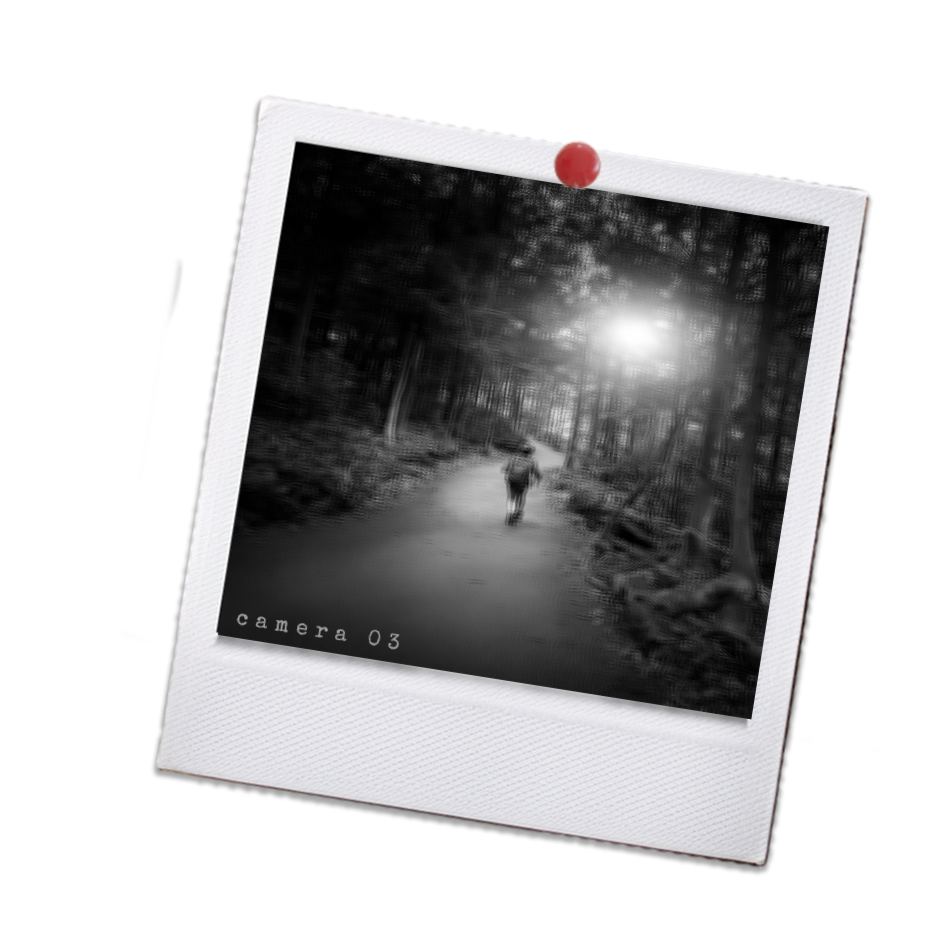 Black-and-white Polaroid photo of a person walking on a forest trail with sunlight filtering through trees, labeled "camera 03".