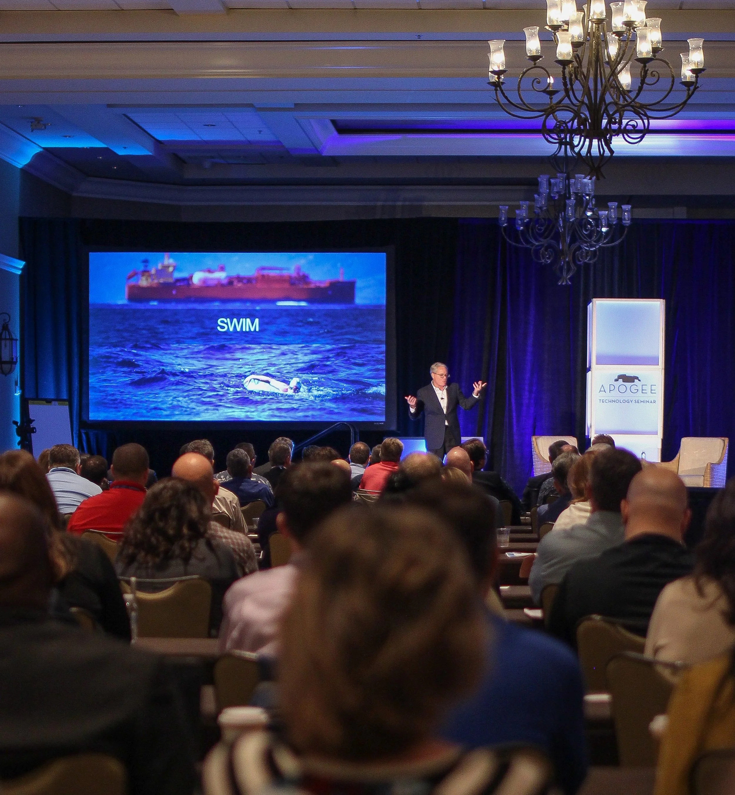 IMG_8398 Cropped - Copy.jpg