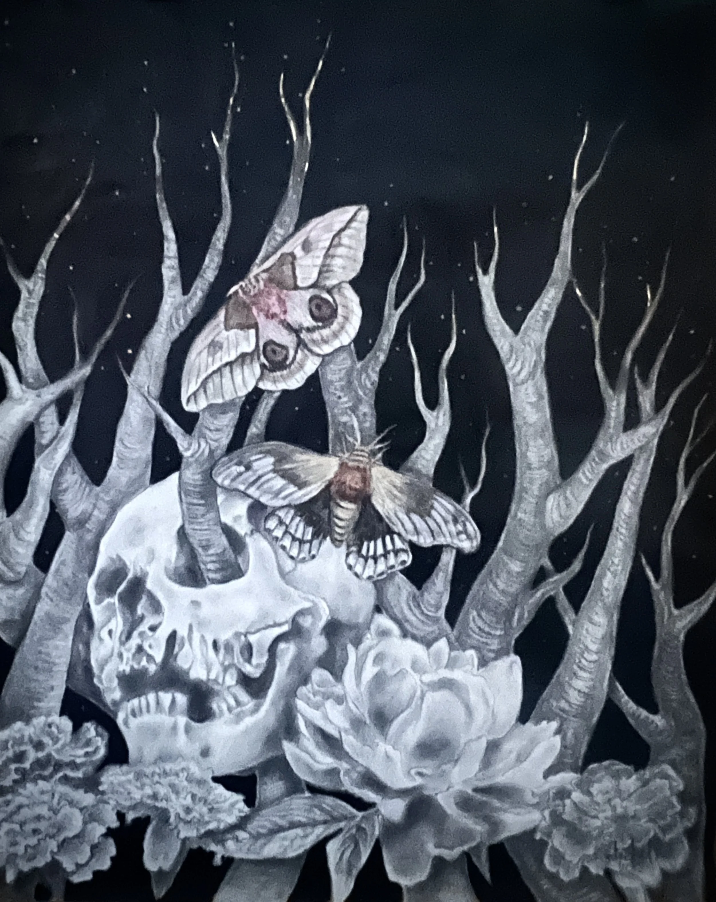 Moth