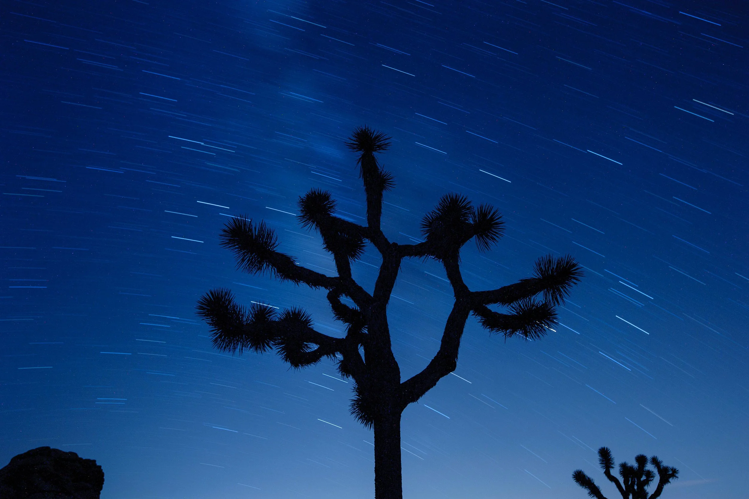 0190----000266-roadtrip-D4-2013-3.jpg