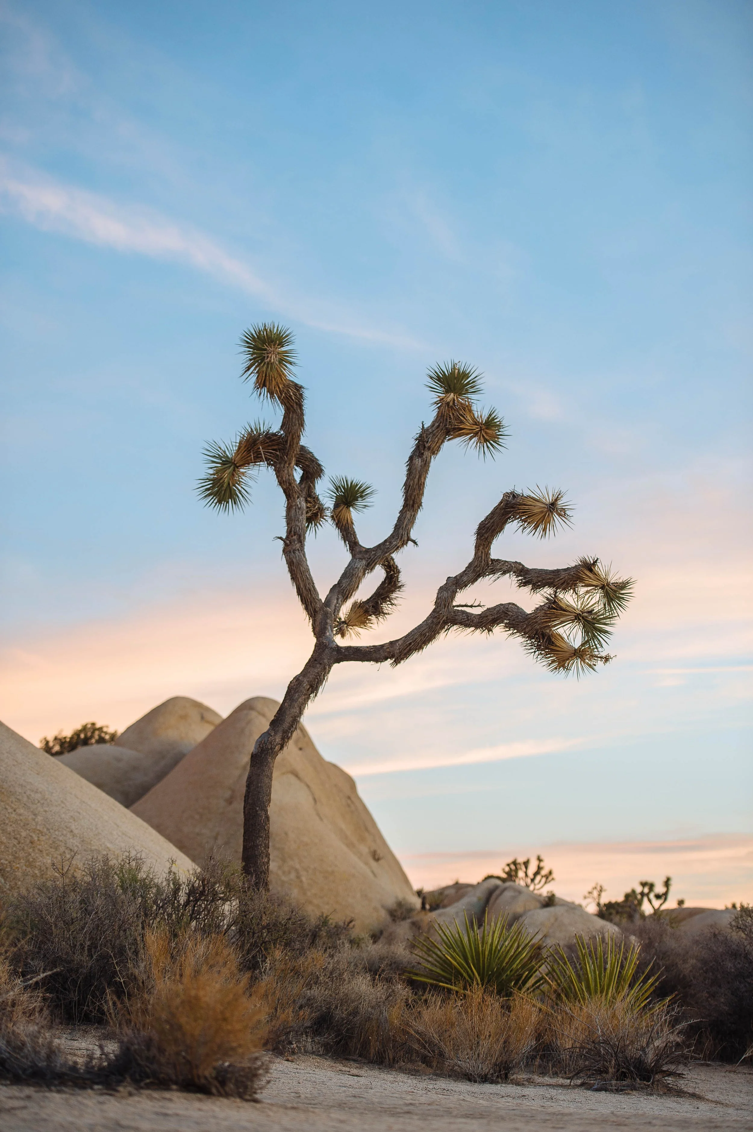 0186----000241-roadtrip-D4-2013.jpg