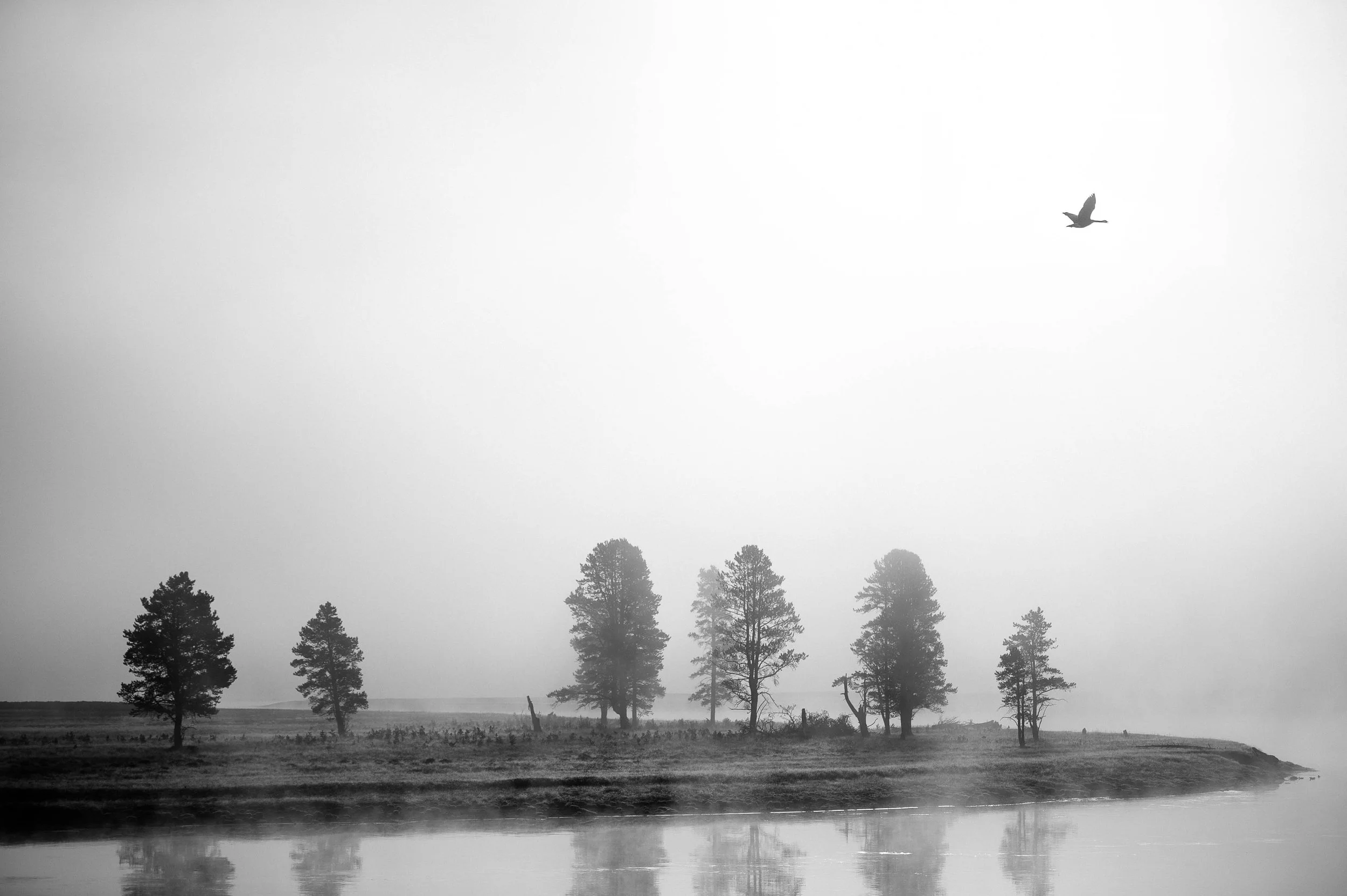 0737----001850-roadtrip-D4-2013-2.jpg