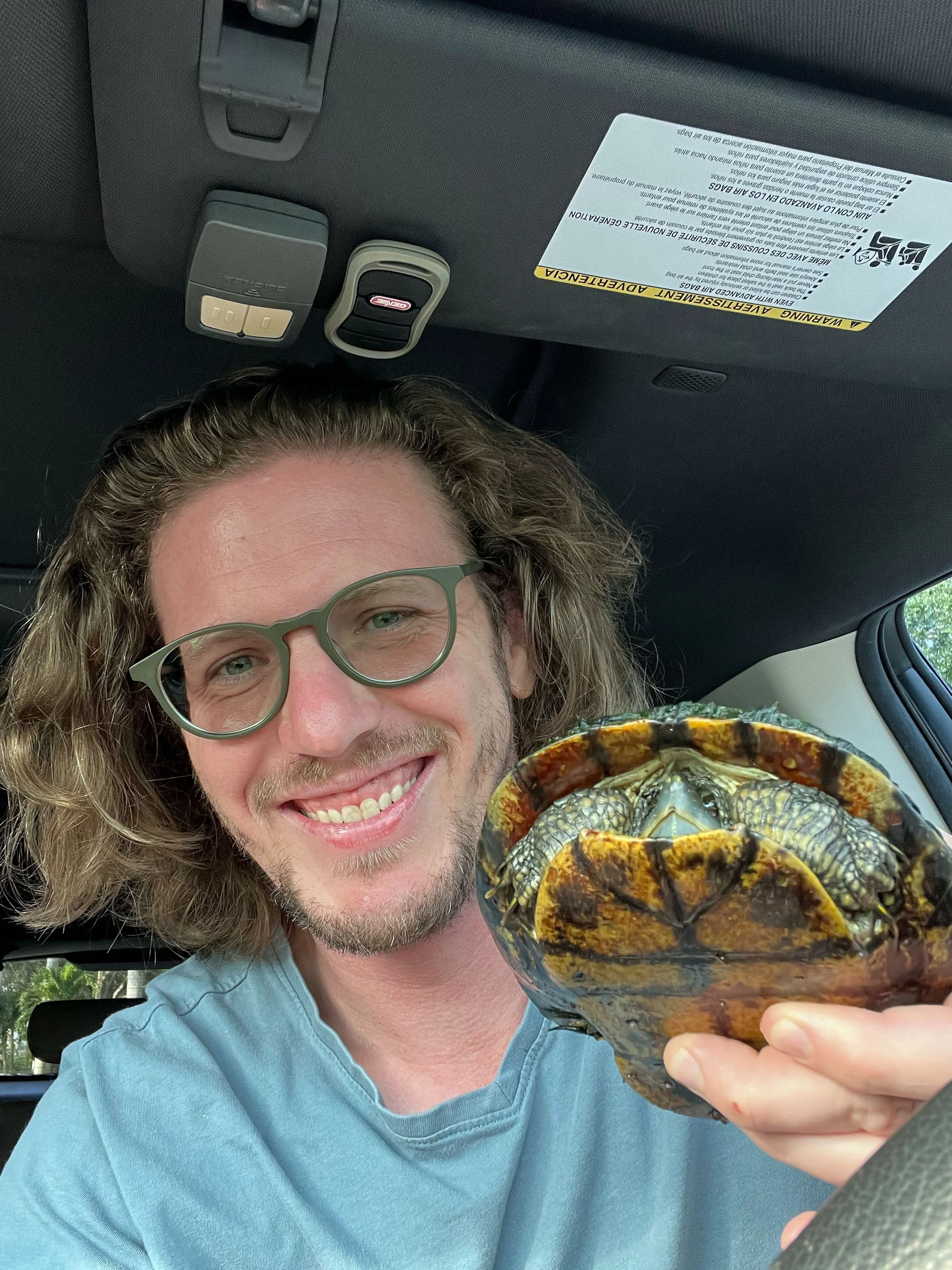 Saving a turtle from crossing a busy road