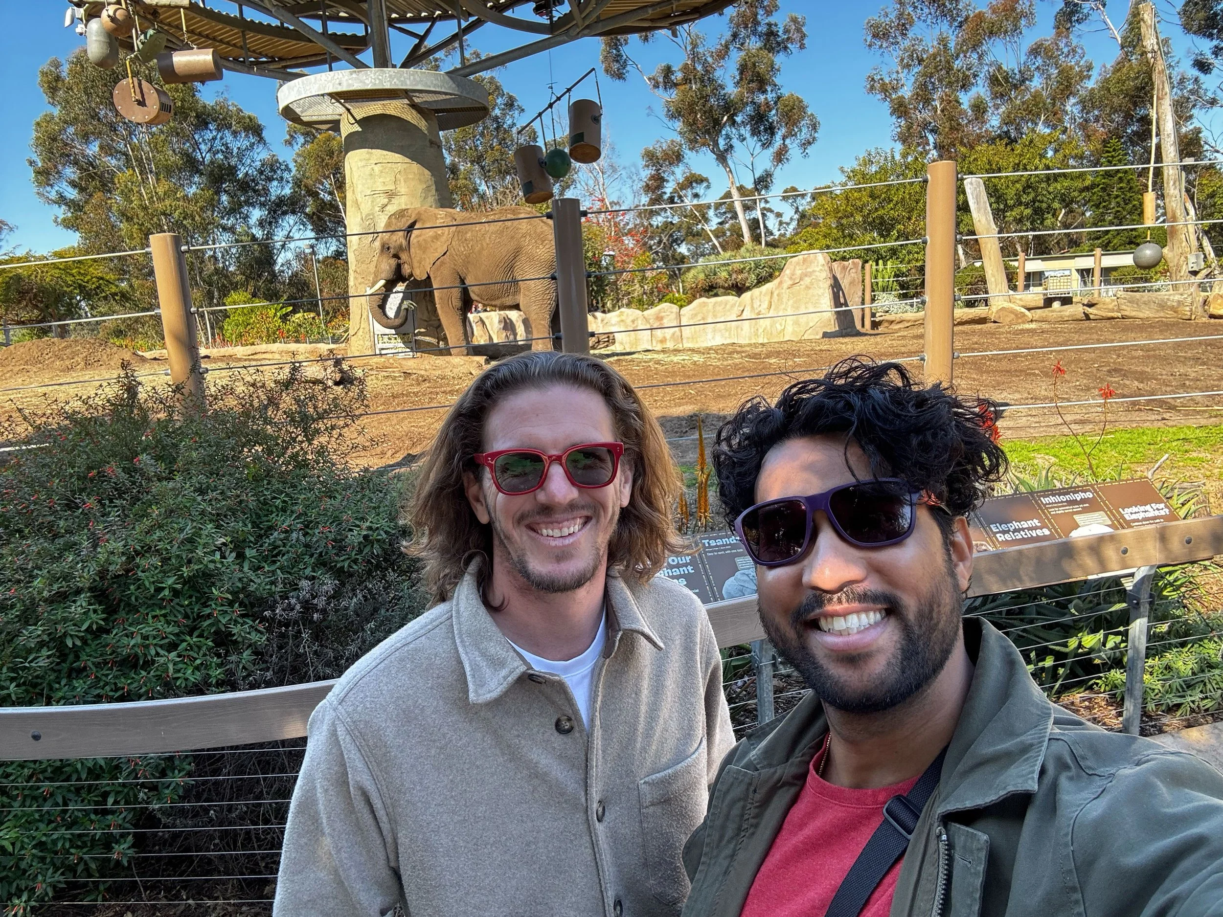 Enjoying the San Diego zoo with my best friend