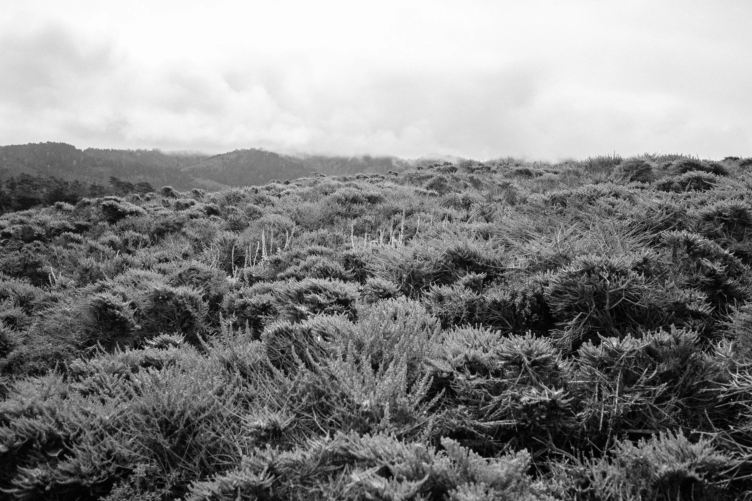 0353----000663-roadtrip-D4-2013-2.jpg