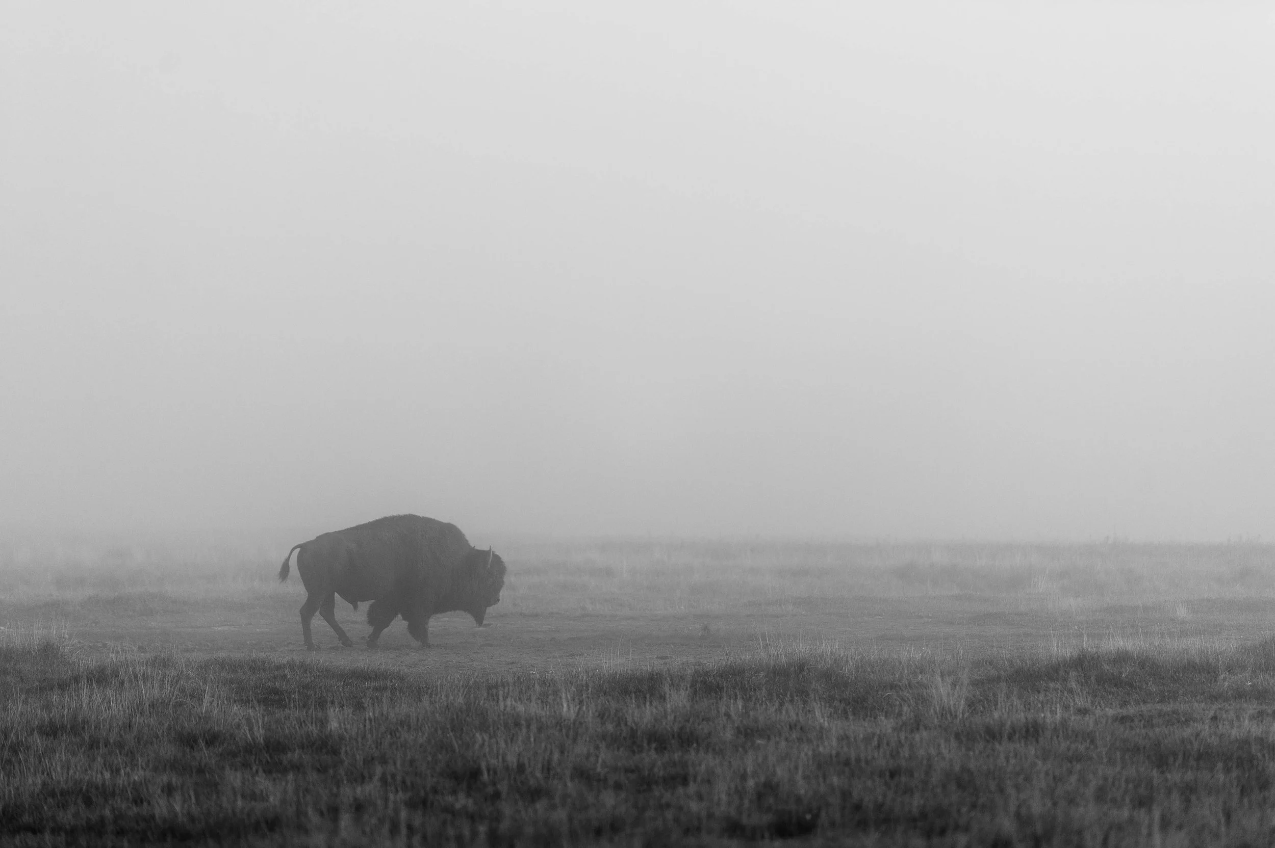0738----001852-roadtrip-D4-2013-2-edit.jpg