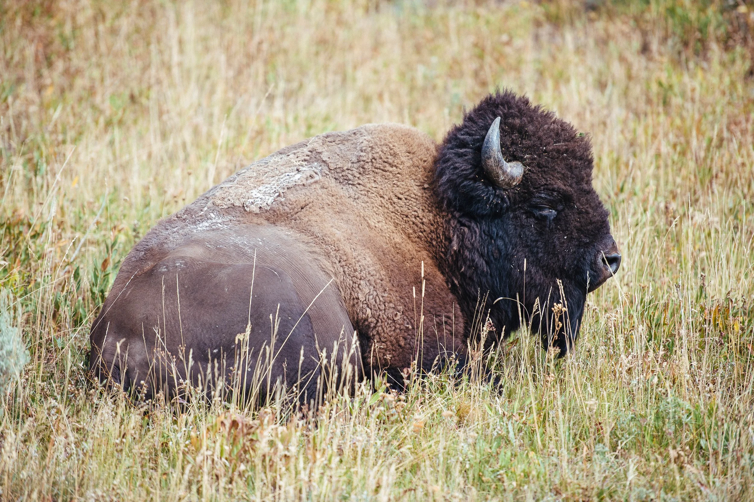 0707----001791-roadtrip-D4-2013.jpg