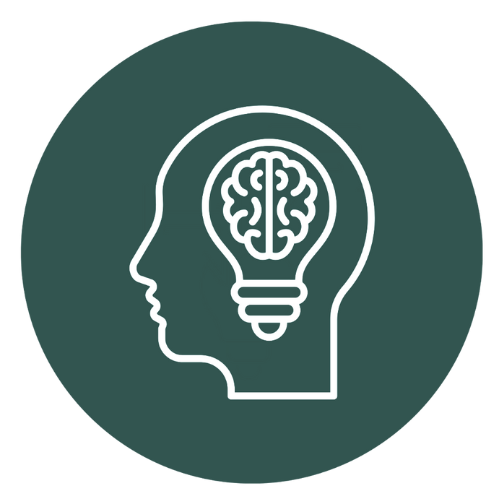 Icon of a human head outline with a light bulb containing a brain inside