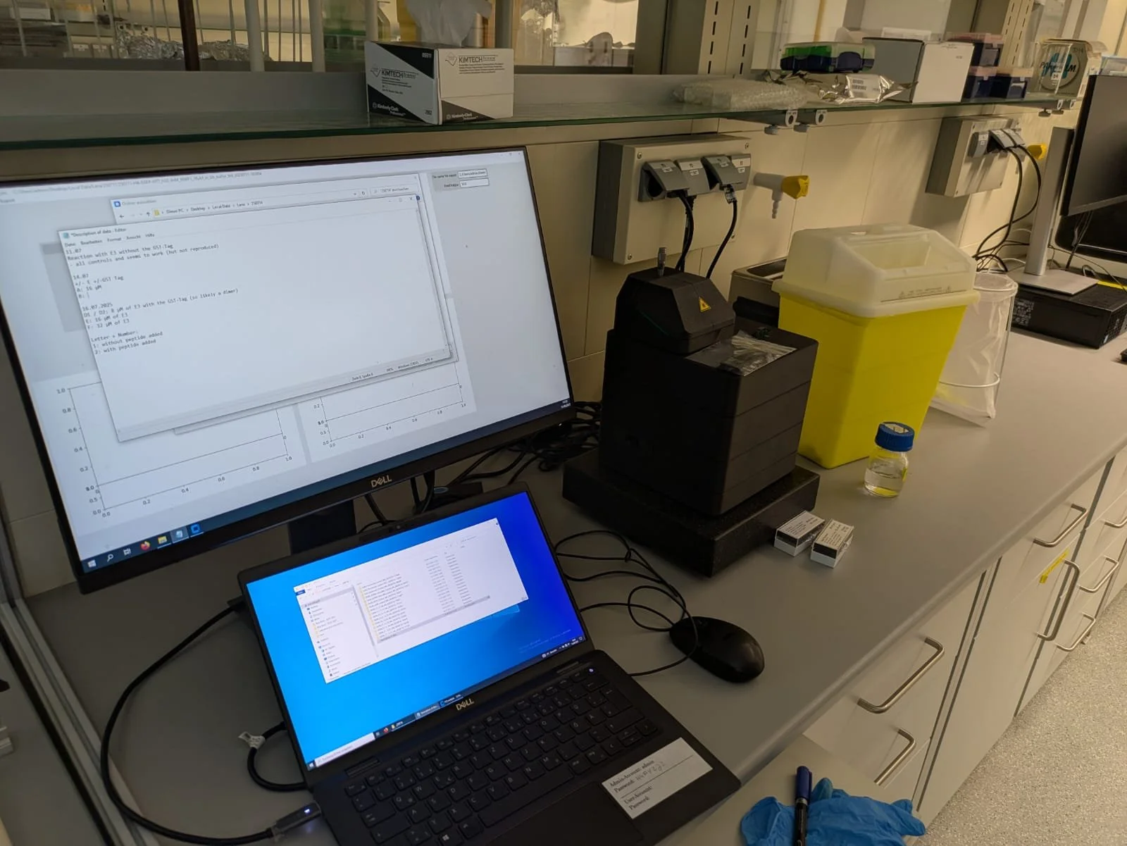 WhatsApp Image 2025-09-21 at 15.27.08.jpeg