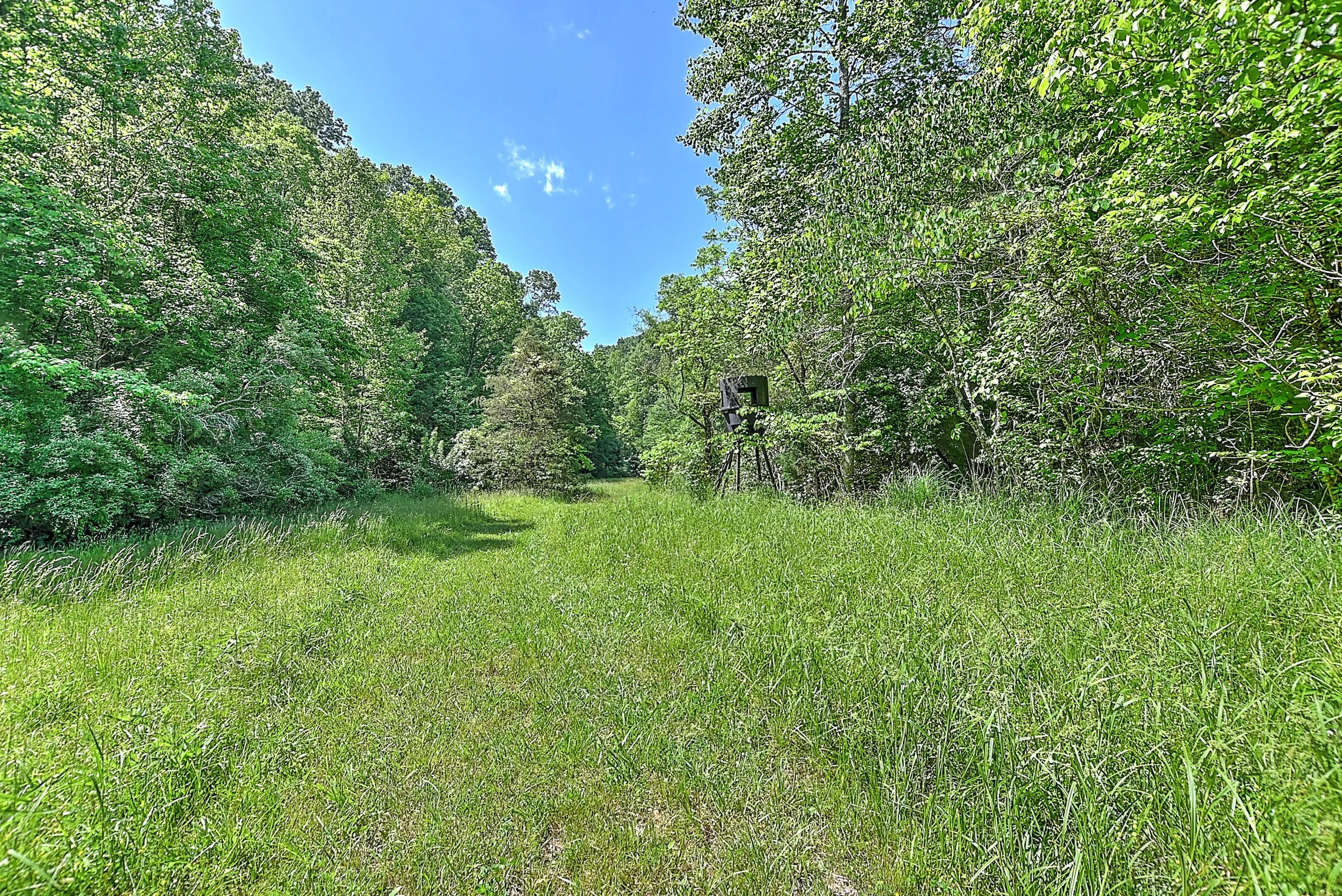 3388 Flower Gap Rd DS-139.jpg
