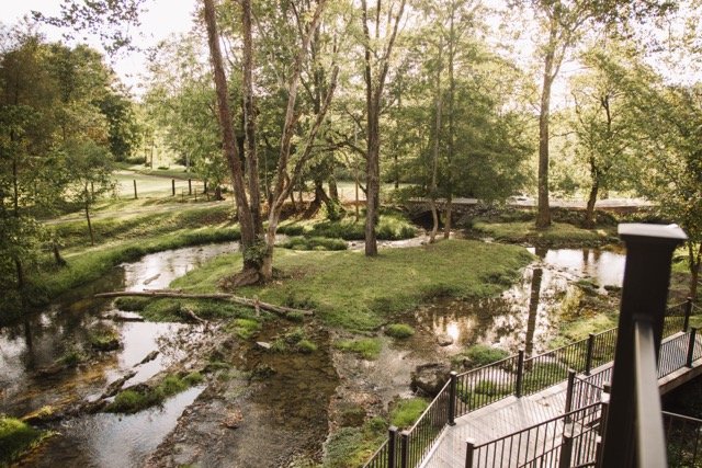 1S0A5093 Medium.jpeg