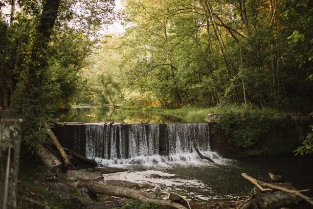 1O8A4088 Medium.jpeg