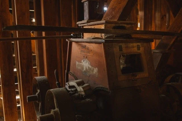 1O8A3935 Medium.jpeg