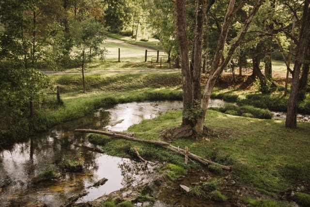 1S0A5095 Medium.jpeg