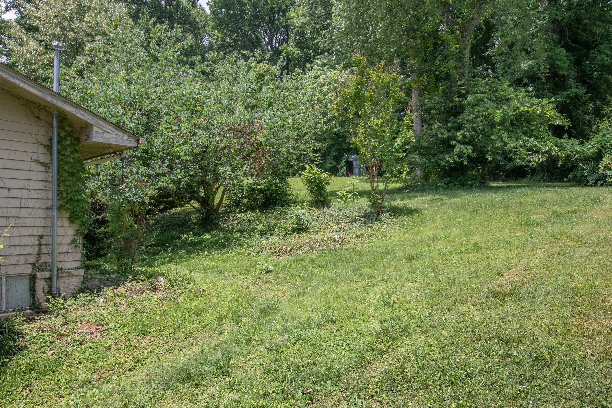 Meadow-19.jpg