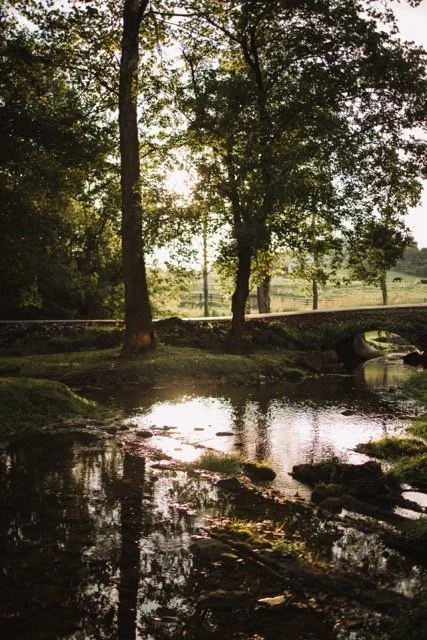 1O8A4072 Medium.jpeg