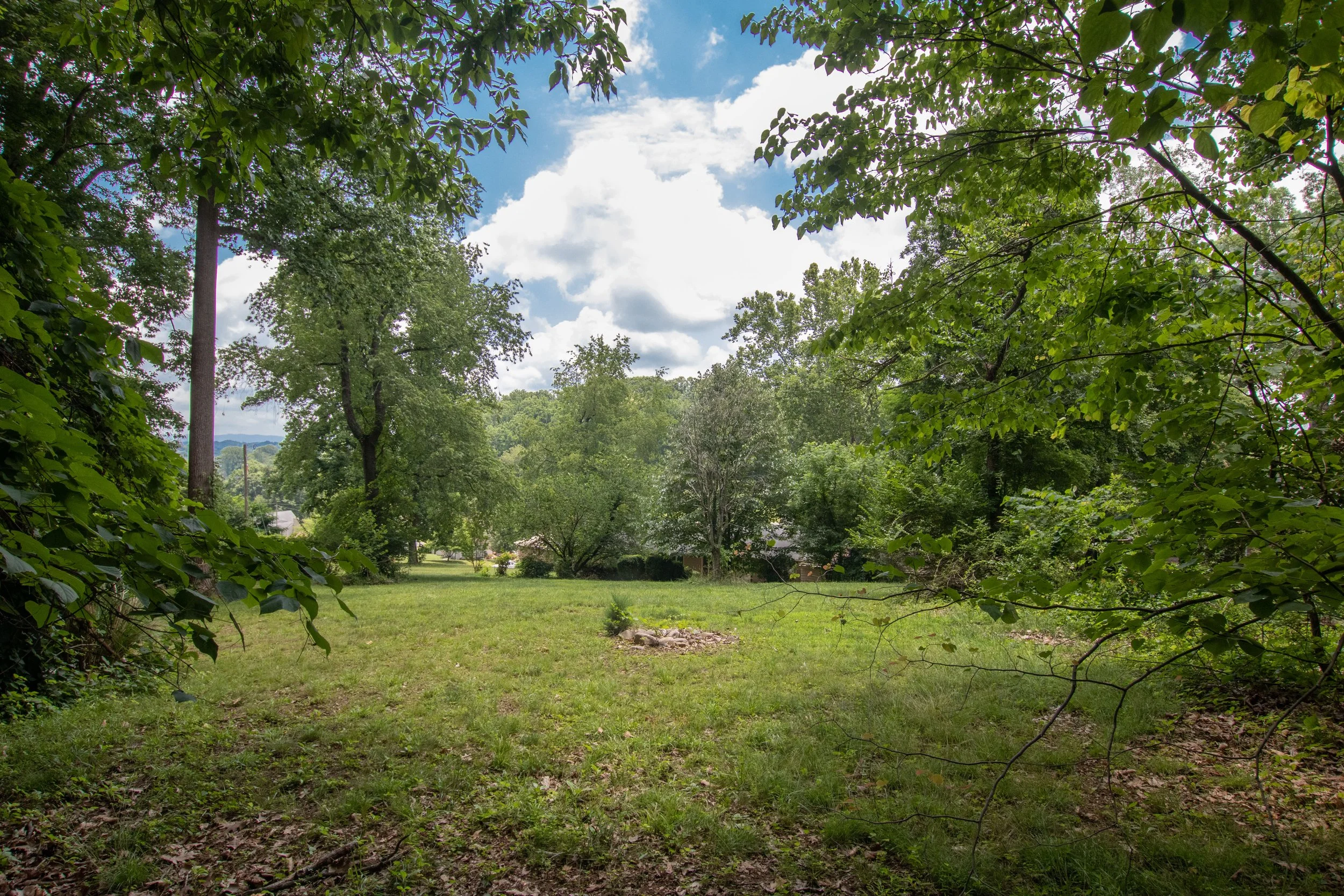 Meadow-15.jpg