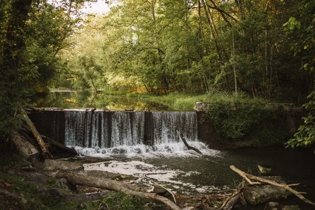 1O8A4082 Medium.jpeg