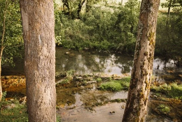 1S0A5096 Medium.jpeg