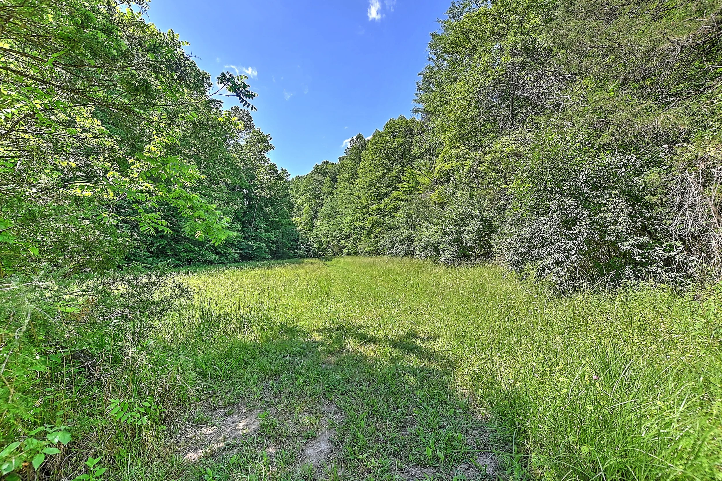 3388 Flower Gap Rd DS-140.jpg