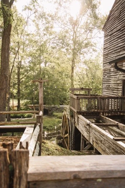 1S0A5085 Medium.jpeg