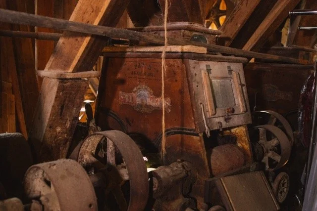 1O8A3941 Medium.jpeg