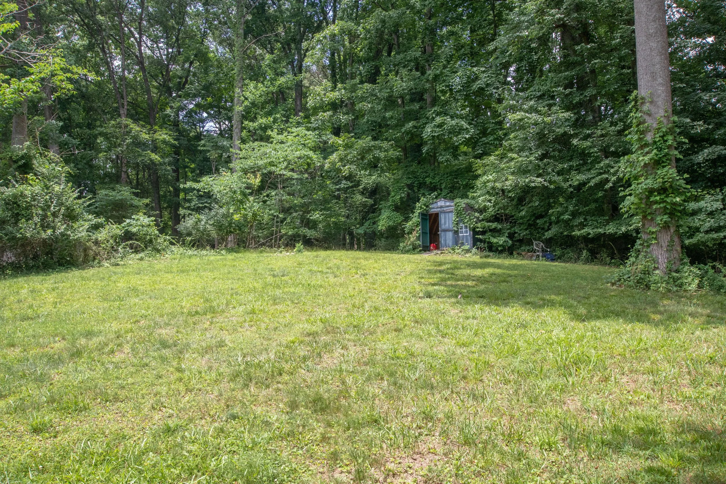 Meadow-13.jpg