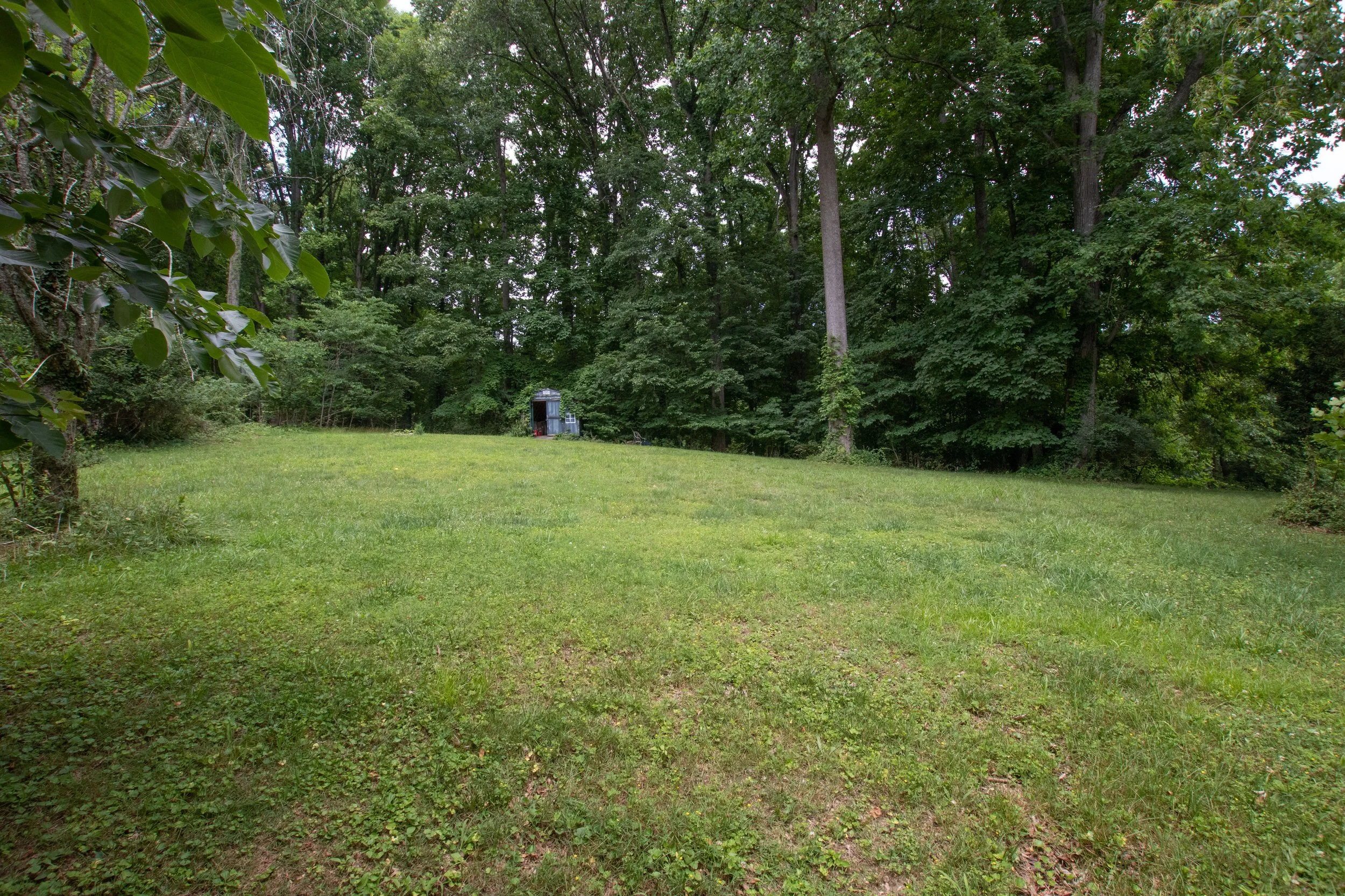 Meadow-11.jpg