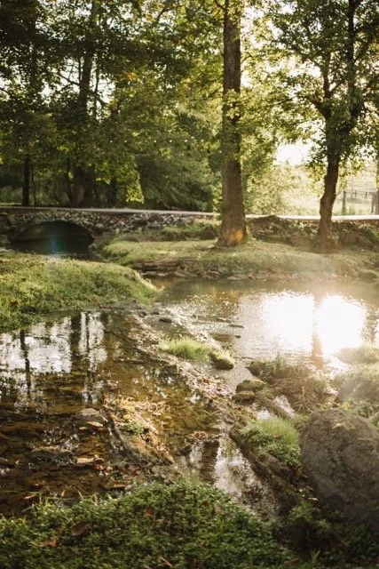 1O8A4065 Medium.jpeg