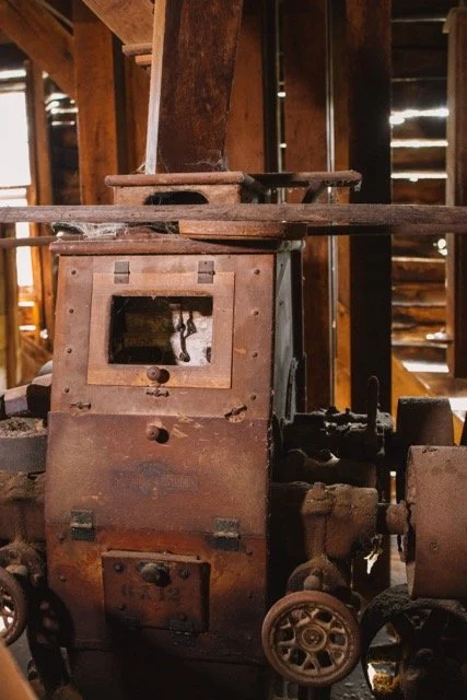 1O8A3943 Medium.jpeg