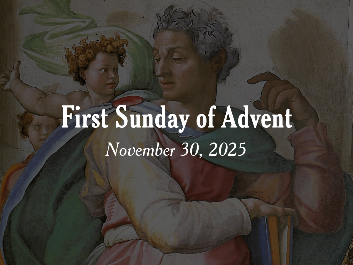 Homily | First Sunday of Advent