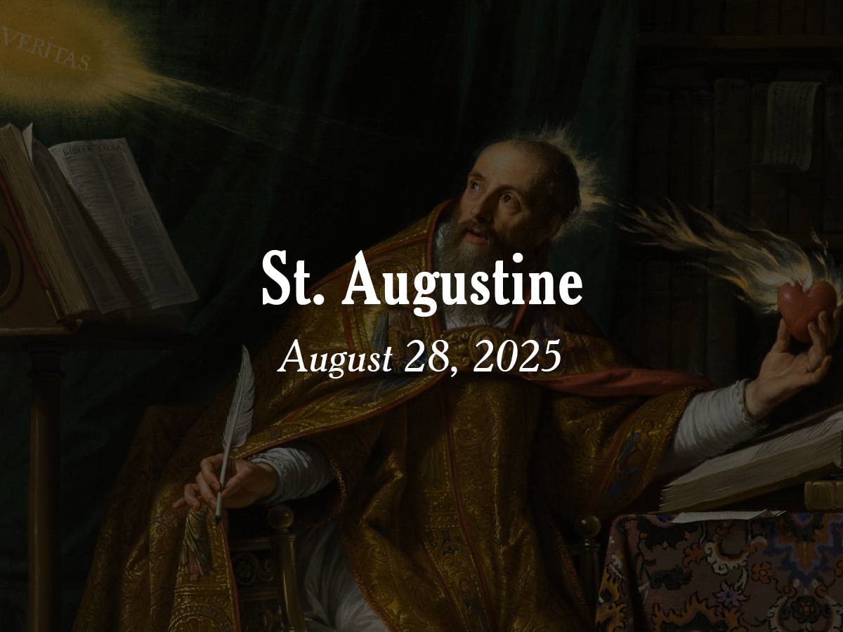 Homily | Feast of St. Augustine