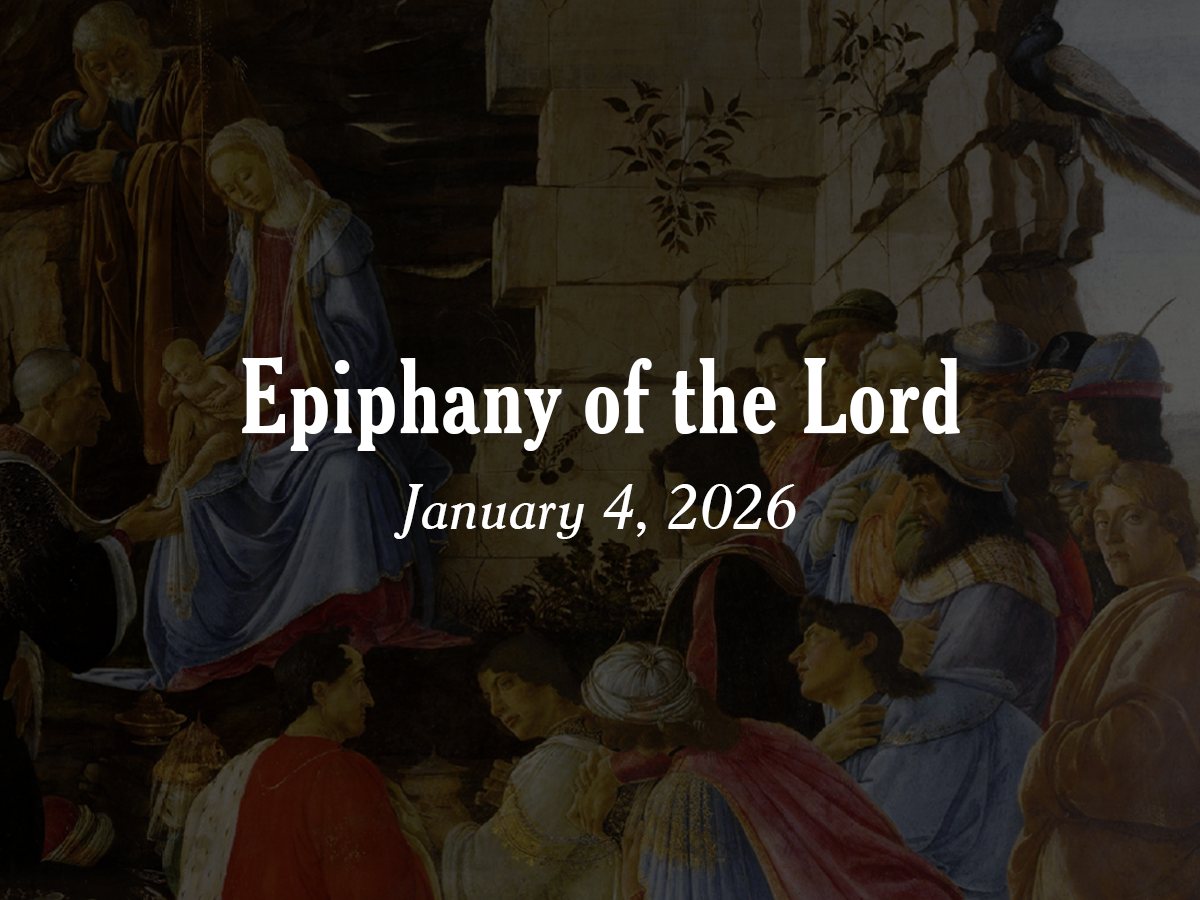 Homily | The Epiphany of the Lord 