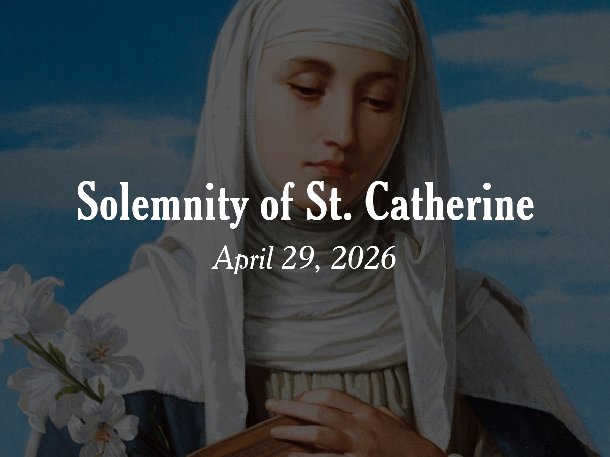 Homily | Solemnity of St. Catherine