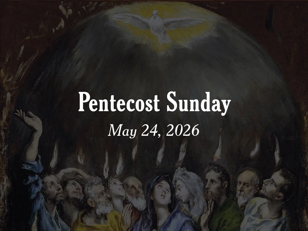 Homily | Pentecost Sunday